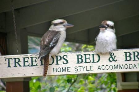 Treetops Bed & Breakfast Blackburn Luaran gambar