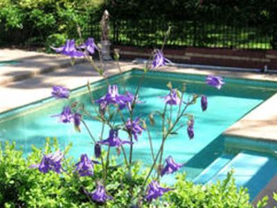 Treetops Bed & Breakfast Blackburn Luaran gambar